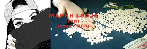 прущие грибы Абаза