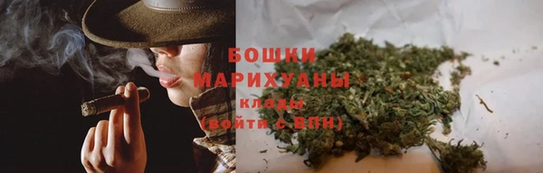 прущие грибы Абаза