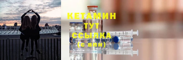 прущие грибы Абаза