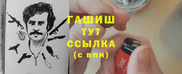 прущие грибы Абаза