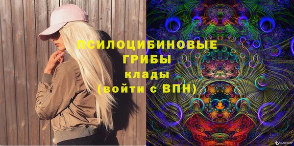 прущие грибы Абаза