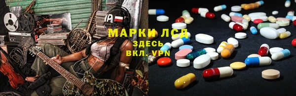 прущие грибы Абаза