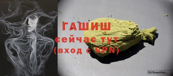прущие грибы Абаза