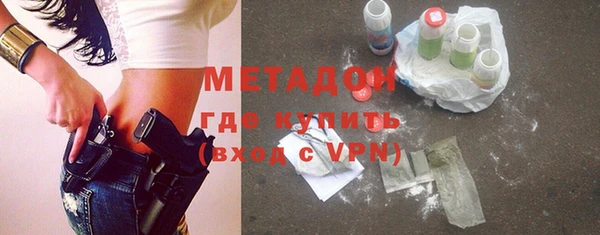 прущие грибы Абаза