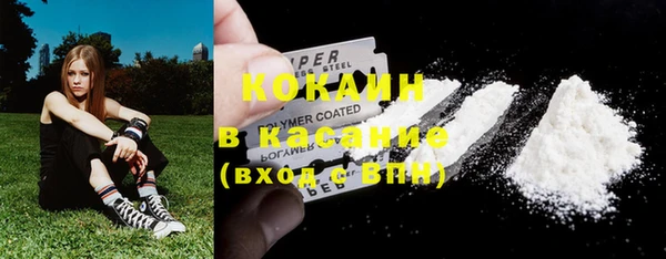 прущие грибы Абаза