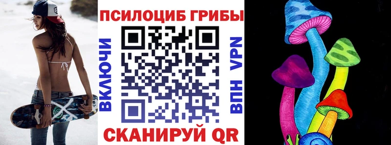 где купить наркоту  Сурск  Псилоцибиновые грибы MAGIC MUSHROOMS 